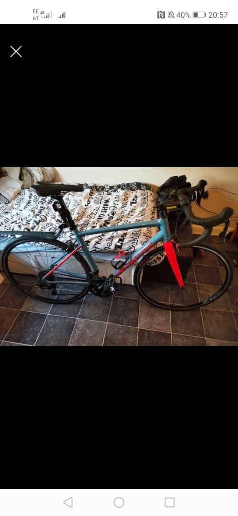 gumtree specialized allez